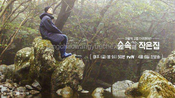 🔍迷茫森林的导航者：在混沌中开辟新径